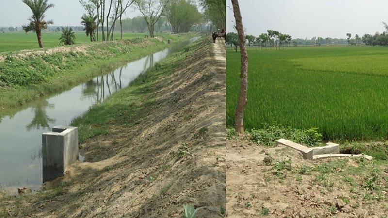 Tk 1,300cr GK irrigation rehabilitation project aims to revive southwest agriculture