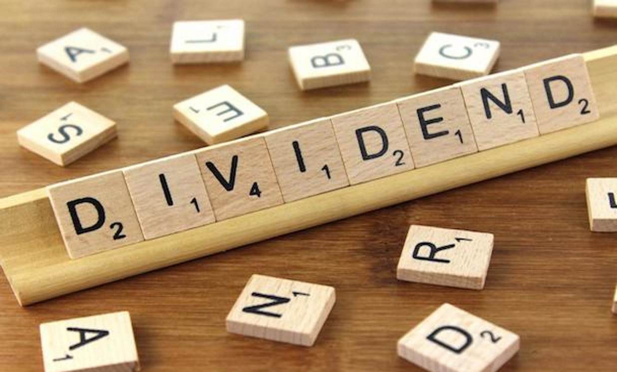 Grameen MF Two declares 12pc dividend