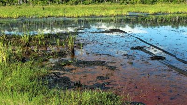 Toxic levels of arsenic in Amazon basin well water: study