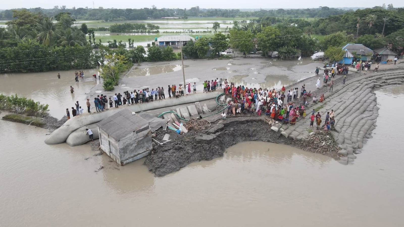 দাকোপে বেড়িবাঁধ ভেঙে প্লাবিত চার গ্রাম, ভেসে গেল ঘরবাড়ি ও ফসলের খেত
