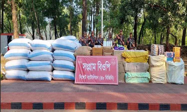২ হাজার কোটি টাকার চোরাচালান পণ্য জব্দ করেছে বিজিবি