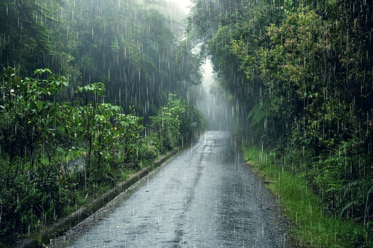 সারাদেশে বজ্রসহ বৃষ্টির পূর্বাভাস