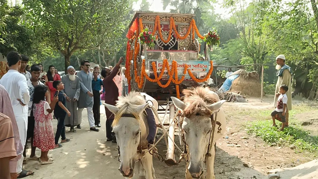 নওগাঁয় হারিয়ে যাওয়া ঘোড়ার গাড়িতে রাজকীয় বিয়ে