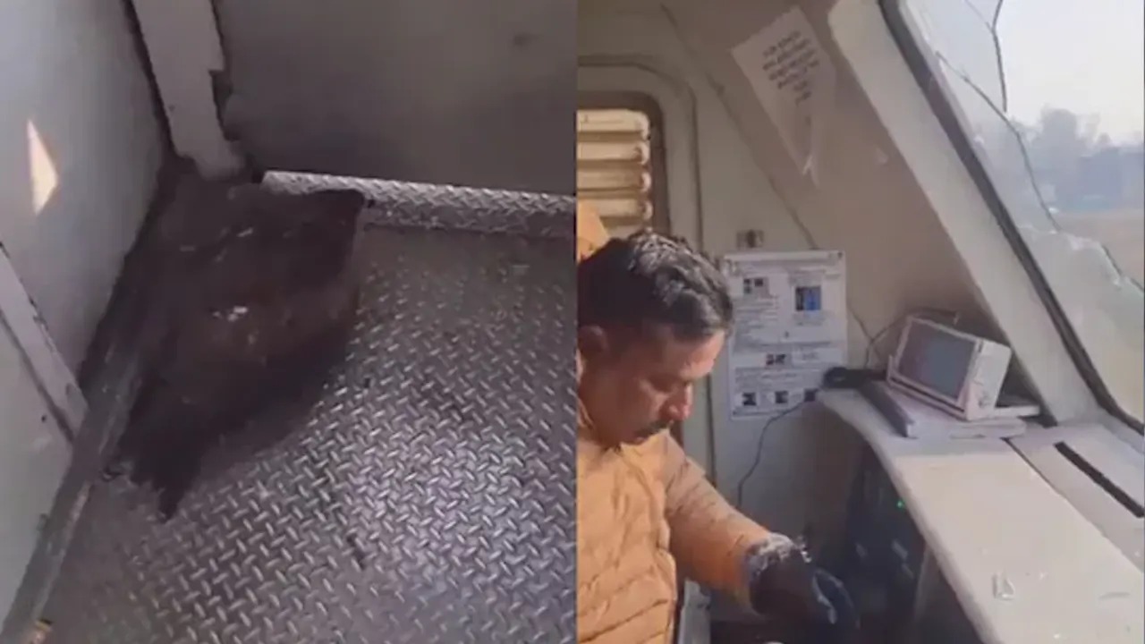 ভারতে চলন্ত ট্রেনে ঢুকে পড়ল ঈগল, চালক আহত