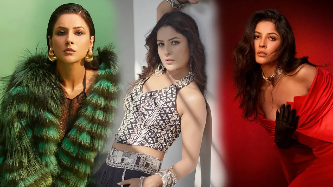 সংগ্রাম থেকে সাফল্যের শিখরে শেহনাজ গিল
