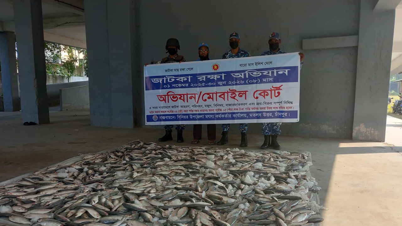 চাঁদপুরে যাত্রীবাহী গাড়ি থেকে বিপুল জাটকা জব্দ
