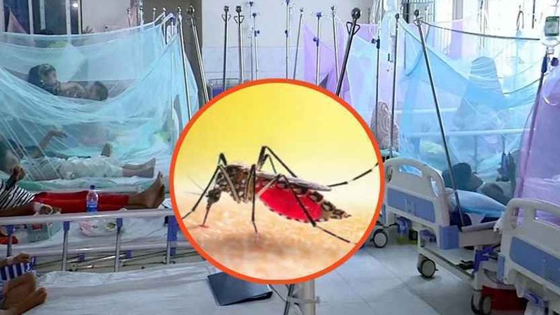 ডেঙ্গুতে আরও ৩ জনের মৃত্যু, ৫৯৩ জন হাসপাতালে ভর্তি