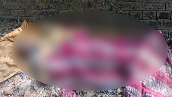 কামারখন্দে আওয়ামী লীগ অফিসের পাশে অজ্ঞাত নারীর মরদেহ উদ্ধার