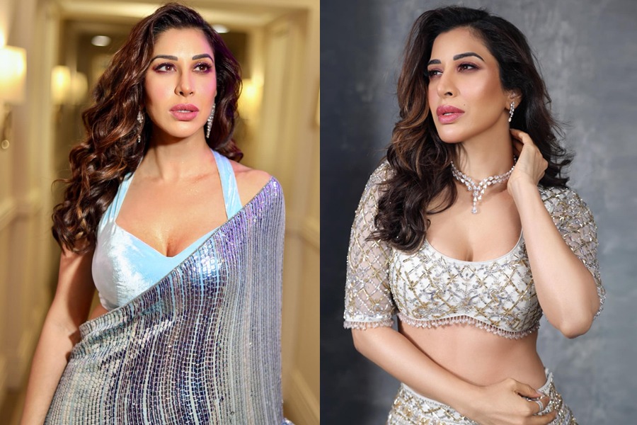 ‘অনেকে যত আয় করেন, আমি তার চেয়েও বেশি’:সোফী চৌধুরী