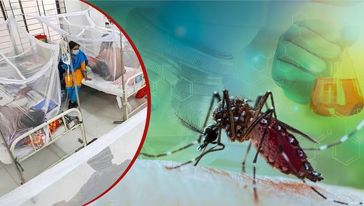 দেশে ২৪ ঘণ্টায় ডেঙ্গুতে ৫ মৃত্যু, ৪৯০ নতুন রোগী হাসপাতালে ভর্তি