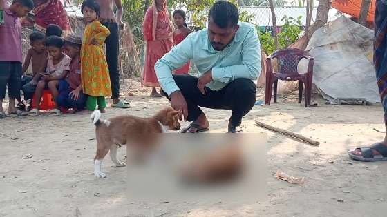 কলাপাড়ায় কুকুরছানা পিটিয়ে হত্যায় সেই নারীর বিরুদ্ধে মামলা
