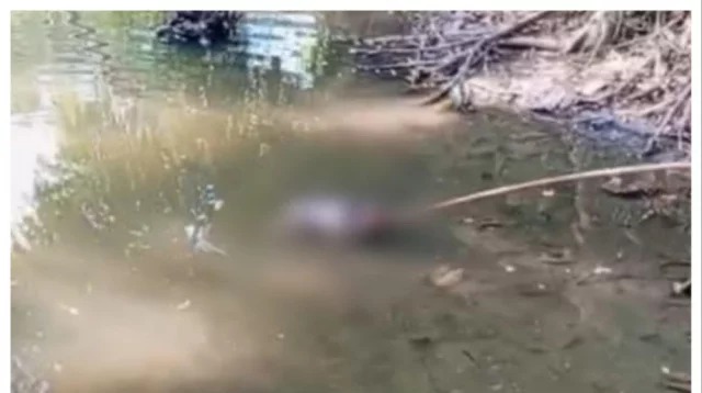মাদারগঞ্জে পুকুরে ভাসমান অবস্থায় অজ্ঞাত নবজাতকের মরদেহ উদ্ধার