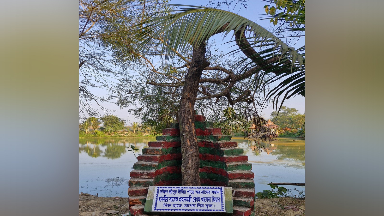 স্মৃতি হয়ে রইল বেগম জিয়ার হাতে লাগানো সেই নিমগাছ