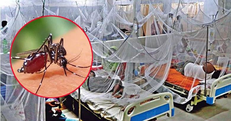 ডেঙ্গুতে আক্রান্ত হয়ে এক দিনে একজনের মৃত্যু, হাসপাতালে ভর্তি ১৮ জন