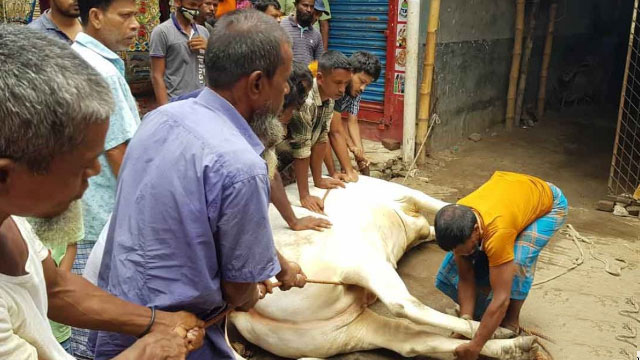 পাড়া-মহল্লায় চলছে পশু কোরবানি
