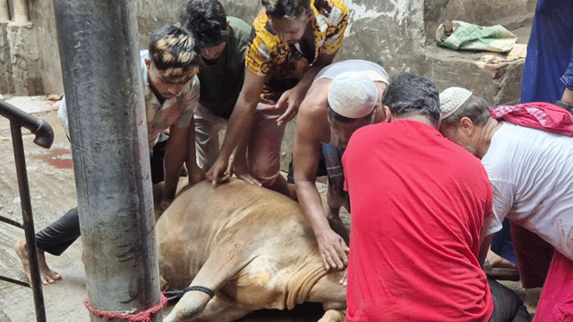 দ্বিতীয় দিনেও চলছে পশু কোরবানি