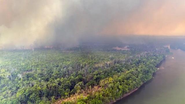 ২০২৪ : নির্বাচন, যুদ্ধ, জলবায়ু সংকট মোকাবেলায় পরাজয়ের বছর