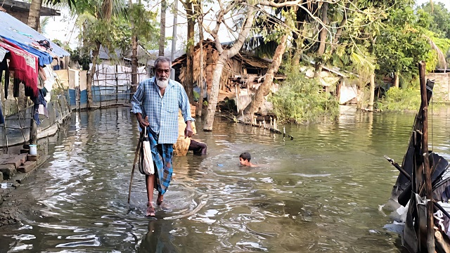 জলেই বন্দী সাতক্ষীরা: বর্ষা এলেই হাঁটু পানি, নেই সমাধান