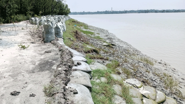 জিও ব্যাগ ভরে বালি ও মাটি দিয়ে ইছামতি নদী ভাঙন রক্ষার চেষ্টা