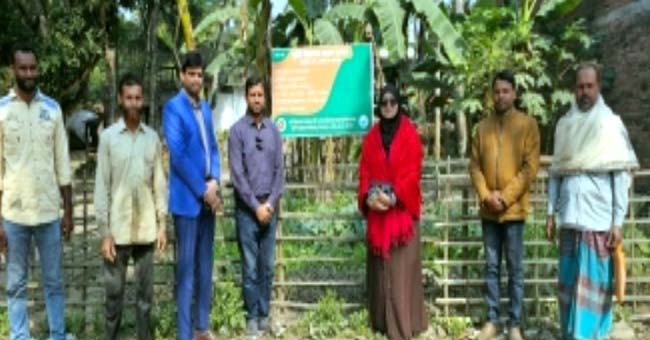 যশোরের শার্শায় গড়ে উঠেছে পুষ্টি নিরাপত্তায় মডেল বাগান
