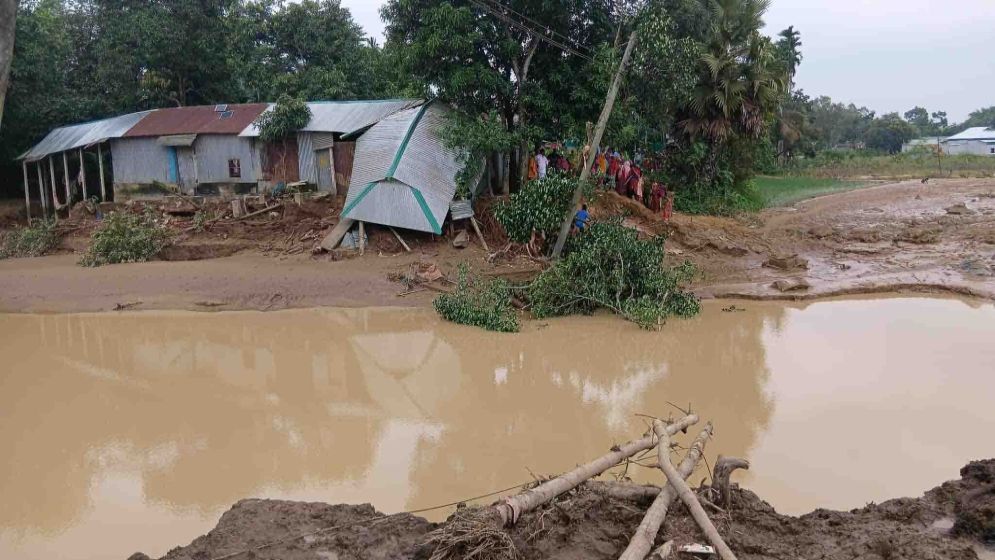 শেরপুরে আকস্মিক বন্যায় সাড়ে ১১ কোটি টাকার ফসলহানি