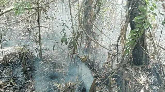 সুন্দরবনের গহীনে কলমতেজী অঞ্চলে আগুন