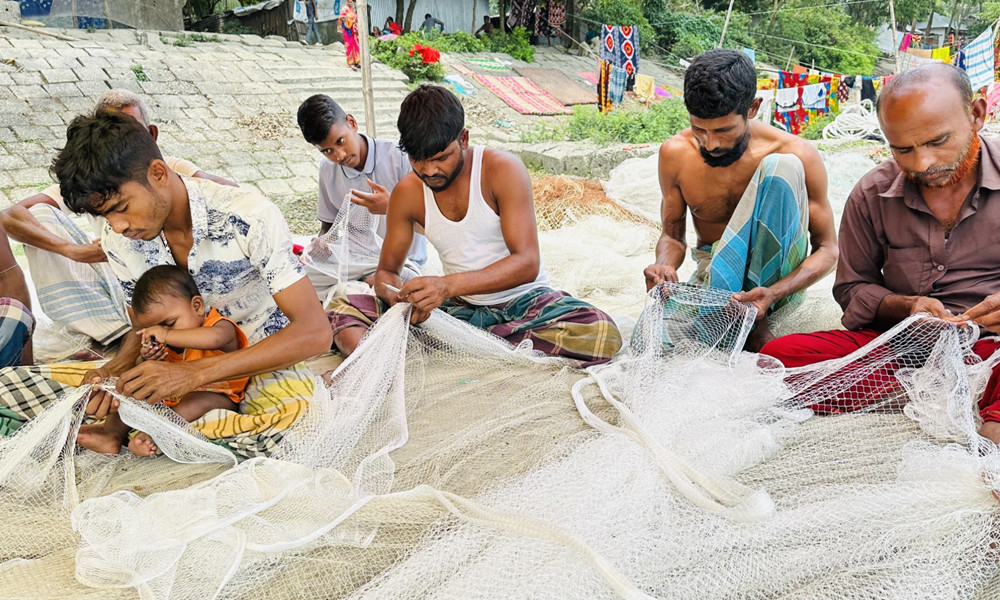 খুলনায় শুরু হচ্ছে ইলিশ ধরায় ২২ দিনের নিষেধাজ্ঞা