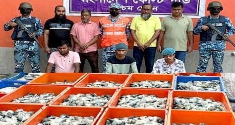 খুলনায় চিংড়ি কারখানায় অভিযান: সাড়ে ৩৮ মণ ‘পুশ করা’ চিংড়ি জব্দ