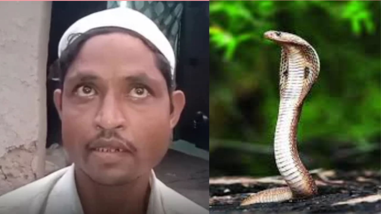স্ত্রী রাতে সাপে রূপ নেন, কামড়াতে চান- অদ্ভুত অভিযোগ স্বামীর!