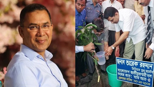 তারেক রহমানের জাতীয় সবুজ মিশন: ২৫ কোটি গাছ রোপণ, নদী পুনরুদ্ধার