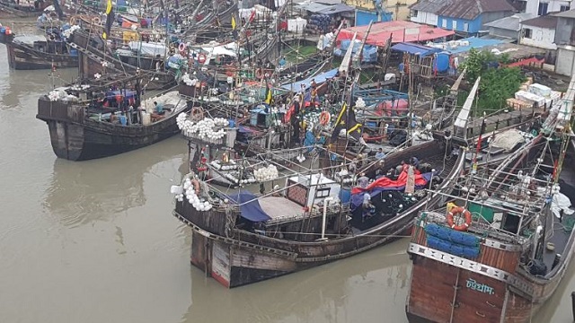বঙ্গোপসাগরে ৬৫ মণ ইলিশ! বিক্রি ৩৯ লাখ টাকা, জেলেদের মুখে হাসি