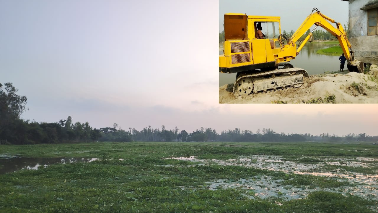 চাকিরপশার বিলের অপার সৌন্দর্যে মুগ্ধ দর্শনার্থীরা