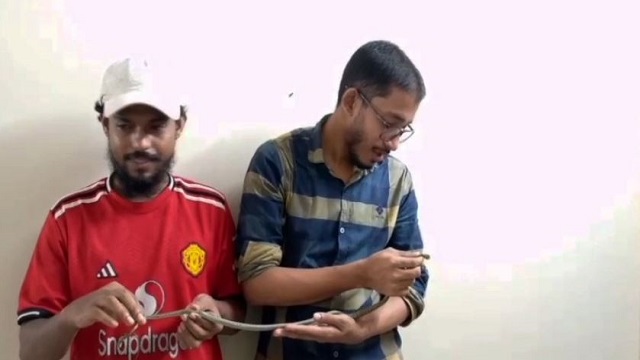 প্রথমবার সাপের এক্স-রে! কলাপাড়ায় বন্যপ্রাণী রক্ষায় সাহসী পদক্ষেপ