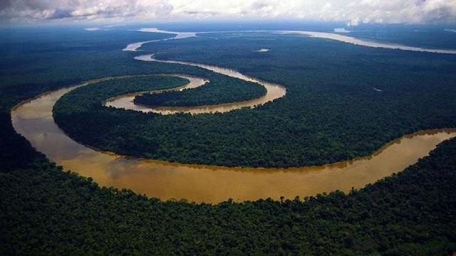 ধ্বংস হচ্ছে পৃথিবীর ফুসফুস