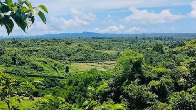 মর্টার শেলের বিকট শব্দে কাঁপল টেকনাফের ১৩ গ্রাম
