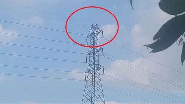 বৈদ্যুতিক টাওয়ারে উঠলো পাগল, বিদ্যুৎ বিচ্ছিন্ন হলো ৩ উপজেলা