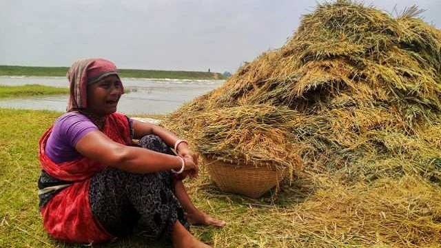 এক বছরে পেশা ছেড়েছেন প্রায় ১৬ লাখ কৃষক