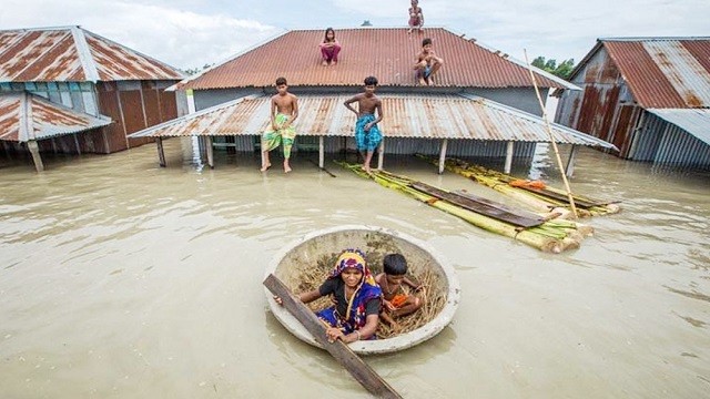 বন্যায় পানি কীভাবে বিশুদ্ধ করবেন