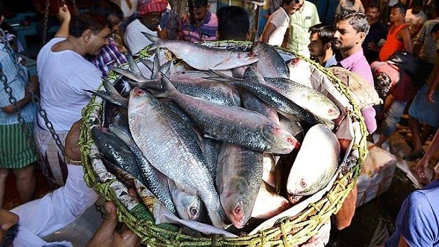 বাংলাদেশিদের কাছে ইলিশ চেয়েও পাচ্ছেন না ভারতীয় ব্যবসায়ীরা