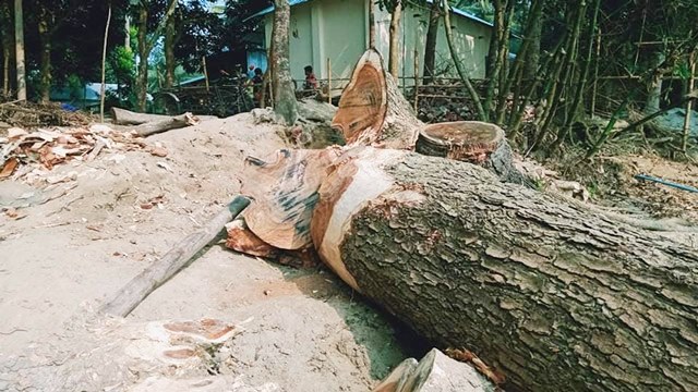 বিক্রি করলেন চেয়ারম্যান, কিনলেন মেম্বার