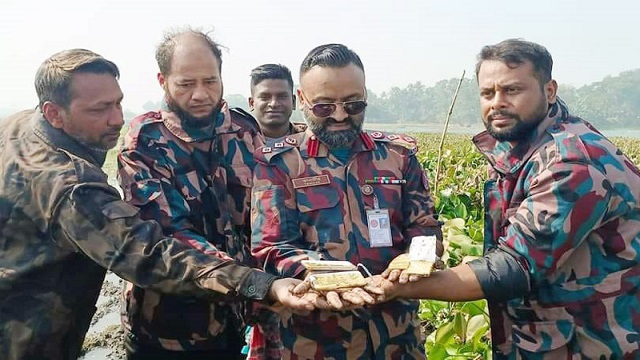 কাদার মধ্যে লুকানো ছিল প্রায় সাড়ে ৩ কেজি সোনা