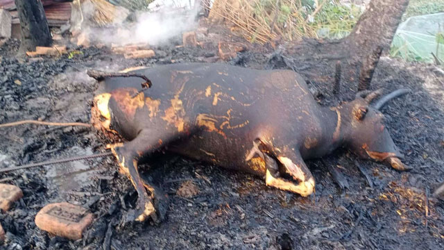 কোটালীপাড়ায় অগ্নিকান্ডে ১০ লাখ টাকার ক্ষয়ক্ষতি