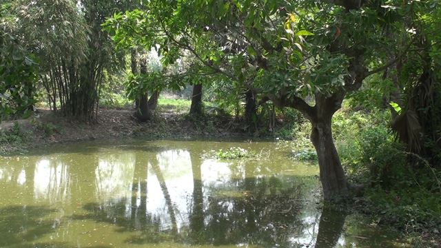 স্বাধীনতার ৫০ বছরেরও স্বীকৃতি মেলেনি গোপালগঞ্জের তারাকান্দর গণহত্যার