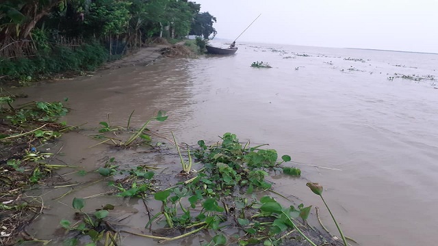 ঈশ্বরদীতে বাঁধ উপচে পানি, ডুবেছে চরাঞ্চল
