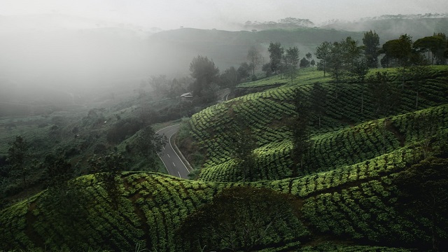 মৃদু ভূমিকম্পে কেঁপে উঠল ভারতের উত্তরবঙ্গ