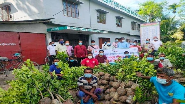 ফকিরহাটে ৮ হাজার ফলজ চারা বিতরণ