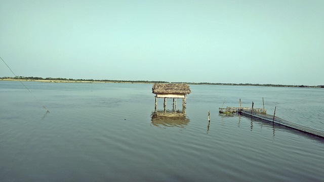 রেণু পোনা সংকটে ঝুঁকির মুখে ফকিরহাটের চিংড়ি শিল্প