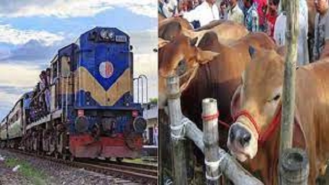 ঢাকার পথে স্পেশাল ক্যাটেল ট্রেন