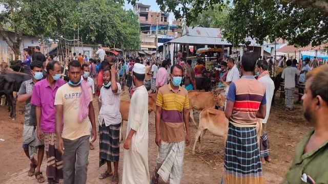 দৌলতপুরে ফের লকডাউনে গরুর হাট
