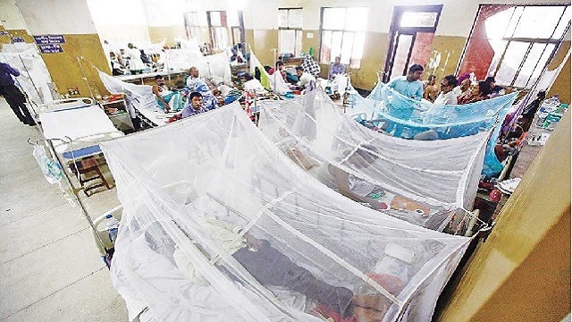 দেশে ডেঙ্গু রোগীর সংখ্যা ছাড়াল ১৪ হাজার  